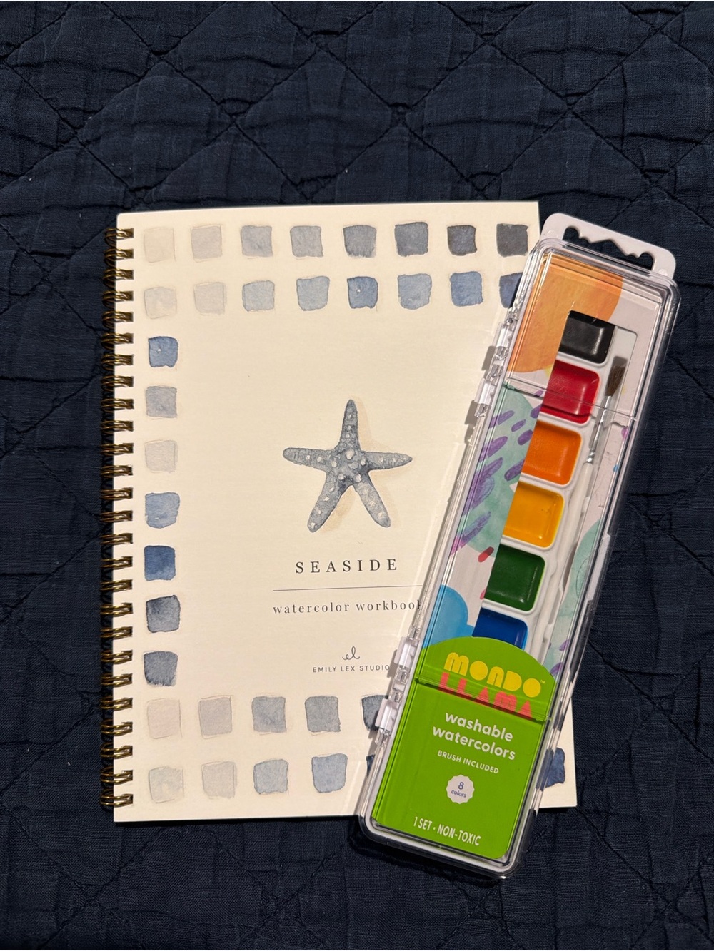 Seaside Watercolor Workbook with Mondo Washable Watercolors - Blue